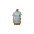 thumbnail image 1 of Fourstar Clothing Mens The Fourstar Two Tone Arch Graphic T-Shirt, Grey, Small, 1 of 1