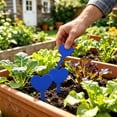 thumbnail image 5 of Plant Name Markers,Wooden Vegetable Plant Label,Vegetable Names and Patterns Garden Markers Wooden T Type Plant Labels for Vegetables Potted Plants Garden Stake Sign, 5 of 6