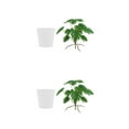 thumbnail image 1 of Planta falsa Injueey para interior o exterior vegetación Natural Monstera 2Conjunto, 1 of 6
