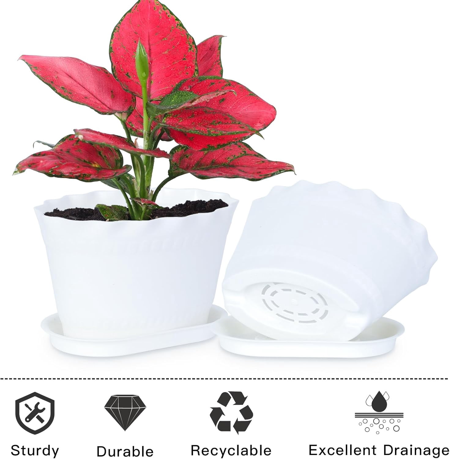 Herb Planter Pots 6 Pcs, Window Box Planter Flower Plants Pots for Succulent Cactus Flower with Trays, for Home Garden Kitchen Decor (White)