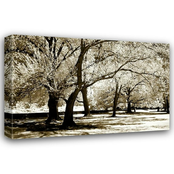 Alan Hausenflock 18x13 Gallery Wrapped Canvas Wall Art Titled - Fantasy Oaks