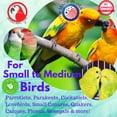 thumbnail image 7 of Bonka Bird Toys 3858 Duo Natural Boxy Eddy, 7 of 7