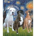 thumbnail image 2 of CafePress - T Starry Night 3 Boxers Throw Blanket - Soft Fleece Throw Blanket, 50"x60" for All Ages, 2 of 2