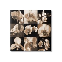 Sepia Orchid Varied Photography Botanical & Floral Photograph Gallery Wrapped Canvas Print Wall Art