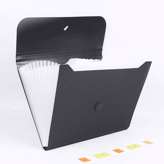2 Pcs 13-Pocket Accordion File Organizer, A4/Letter Size Expanding File Folder with Label, Plastic Document Organizer with Button, 13 x 9.8 x 0.8 in / 33 x 25 x 2 cm, Black