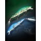 thumbnail image 3 of 3pcs Señuelos Pesca 11 Cm 14g Crankbaits Cebo Duro Artificial para El La Trucha, 3 of 9