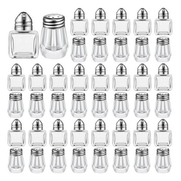 Mini Salt & Pepper Shakers Clear Seasonings Shakers Silver