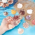 thumbnail image 3 of 32 piezas de dijes de conchas marinas naturales de 4 estilos, de 1,6 a 2,1 pulgadas, conchas de playa con anilla dorada., 3 of 5