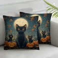 FUMJ Black Cat Pumpkins Full Moon Plush Pillowcase Set of 2 Halloween