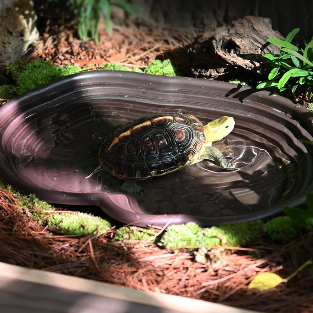Extra Large Reptile Bathing Pool,Feeding Dish,with Ramp Aquarium Ornament for Gecko,Turtle,Lizard