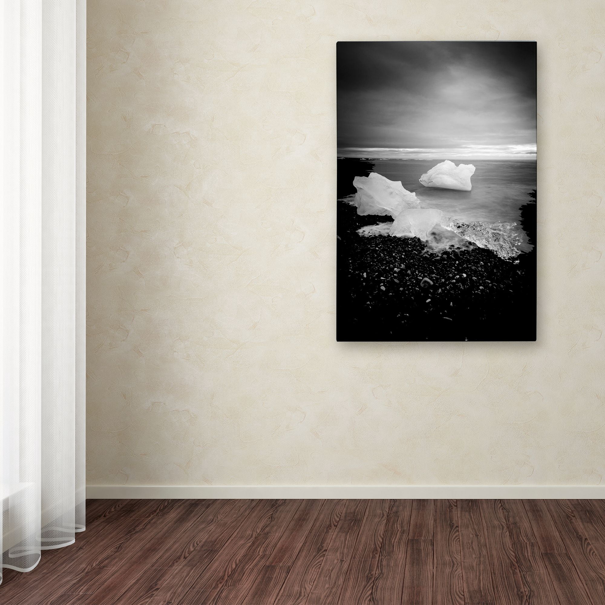 Trademark Fine Art 'White as Ice' Canvas Art by Philippe Sainte-Laudy