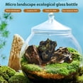 thumbnail image 4 of 1 Set of Glass Terrarium Container Ecological Plant Bottle Glass Plant Terrarium with Lid (Random Style Lid ), 4 of 4