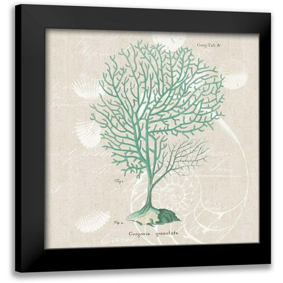 Wild Apple Portfolio 12x12 Black Modern Framed Museum Art Print Titled - Gorgonia Granulata