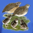 thumbnail image 3 of CafePress - Coturnix Quail Family Dark T Shirt - Men's Classic Graphic Cotton T-Shirt, 3 of 4