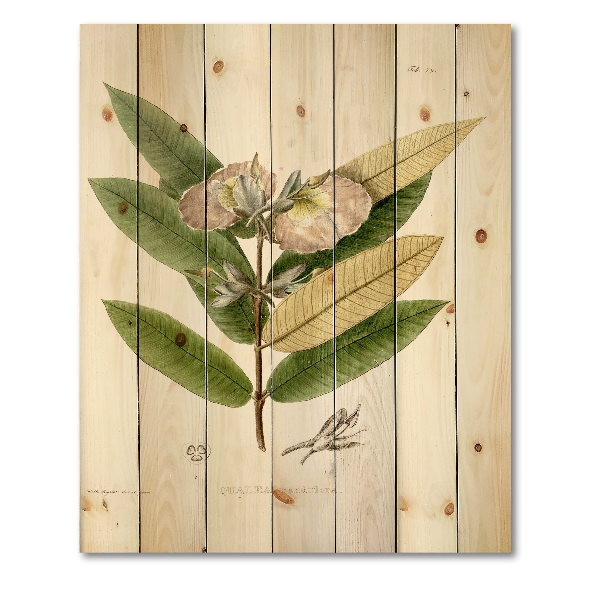 Designart 'Ancient Blossoming Flower II' Traditional Print on Natural Pine Wood