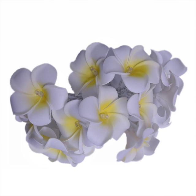 Guirnalda de luces de Frangipani de Dinheiro, Frangipani artificial, funciona con pilas, para fiestas de Navidad, bodas familiares y playa