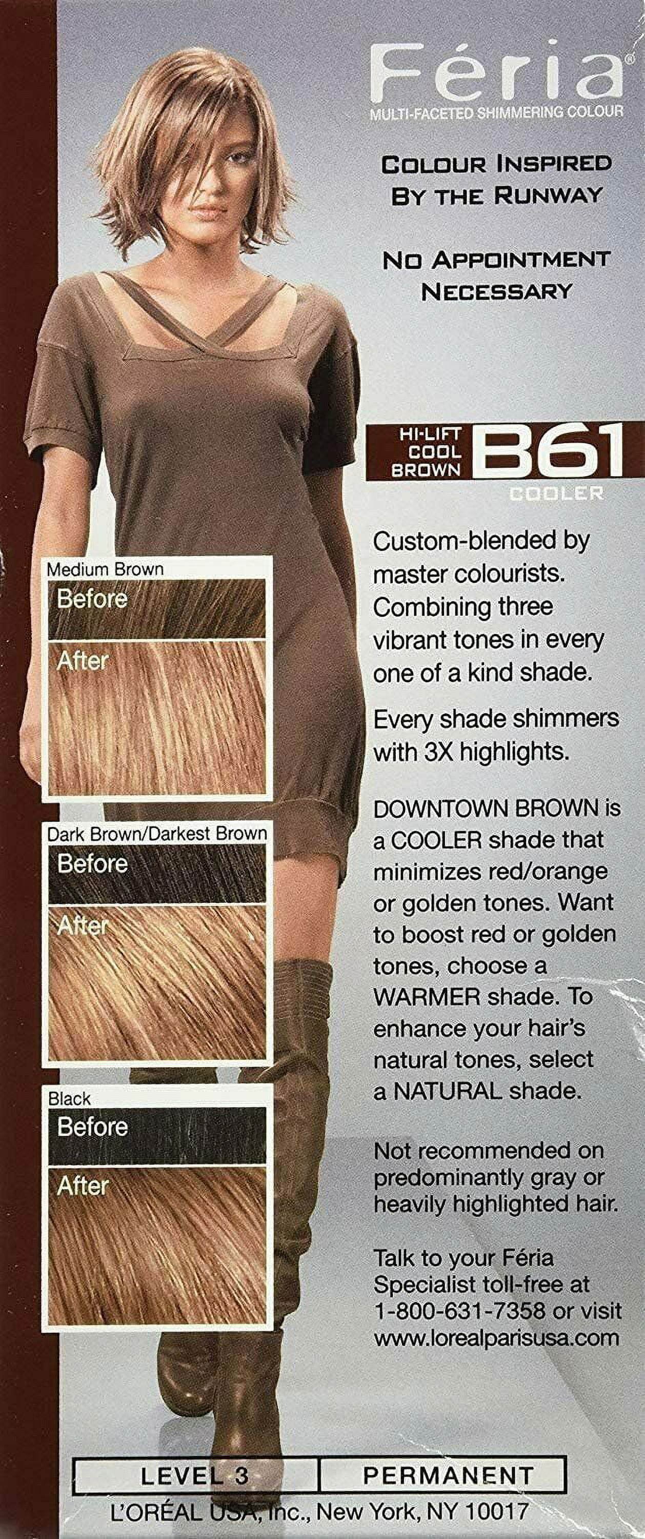 L'Oreal Feria Permanent Hair Colour, Cool, B61 Hi-Lift Brown 1 ea (Pack of 3)