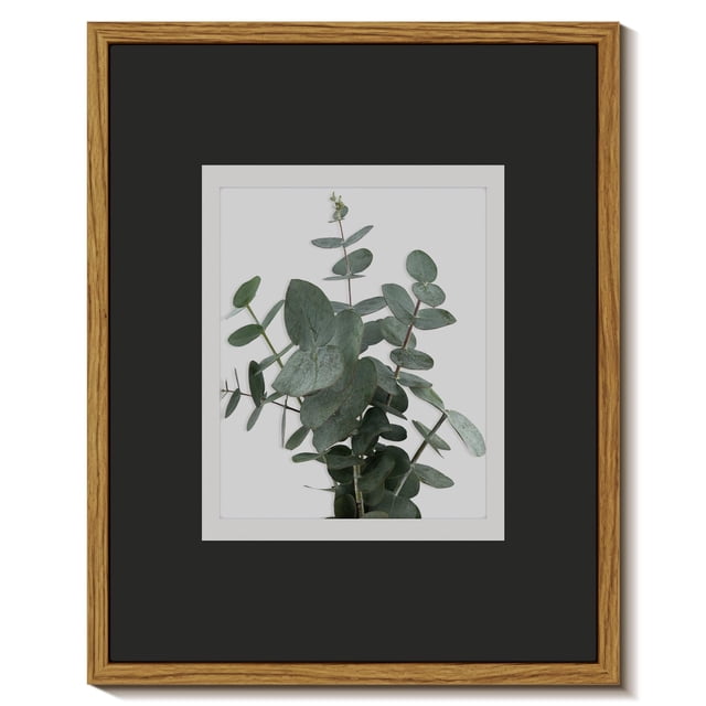 Lámina de pared con estampado botánico de eucalipto de Simsea, 20 x 25 cm