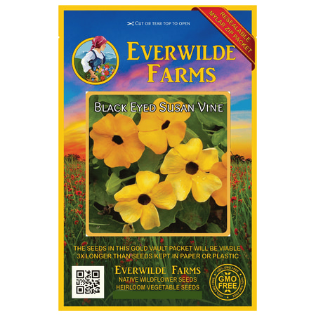 Everwilde Farms - 100 Black Eyed Susan Vine Garden Flower Seeds - Gold Vault Jumbo Bulk Seed (Best Time Plant Black Eyed Susan Seeds)