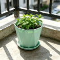 thumbnail image 5 of Large Plastic Flower Pot with Drainage Holes - 16.5x16x14.5cm Thickened Planter for Indoor/Outdoor Use - Balcony, Garden, Windowsill Decor - Set of 1, 5 of 8