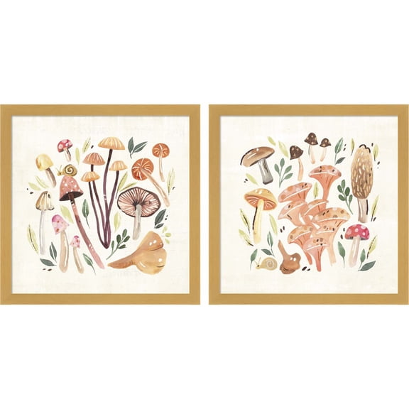Great Art Now Fungi Field Trip by Annie Warren, 2 Piece Framed Art Set Each 13"W x 13"H