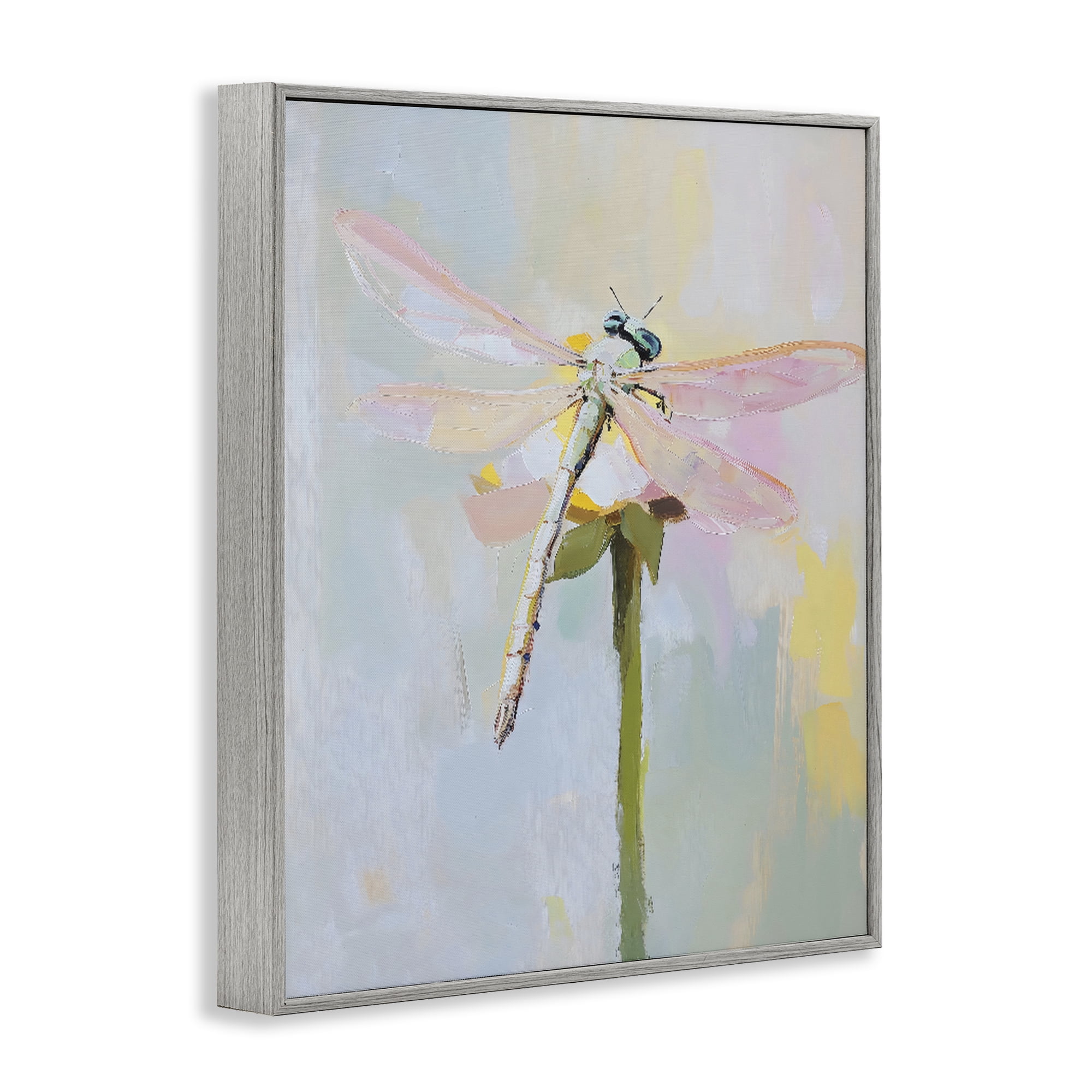 Stupell Industries Pastel Dragonfly Landing Gray Framed Giclee Art, design by The Prints Vibe