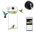 thumbnail image 6 of LACKUST Bird Feeders Outdoor Clearance,HD 1080P Night Vision Bird Feeder Camera with WiFi for Outdoor Bird Watching and Photo Capture,As Shown, 6 of 8