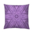 thumbnail image 1 of Ahgly Company Outdoor Square Contemporary Throw Pillow, 18 inch by 18 inch, 1 of 5