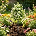 thumbnail image 5 of Artificial Dandelion Ball Topiary Tree with Ground Stake Faux Flower Garden Decor Outdoor Landscaping Patio Lawn Courtyard Balcony Farmhouse Decorative Plant No Maintenance, 5 of 7
