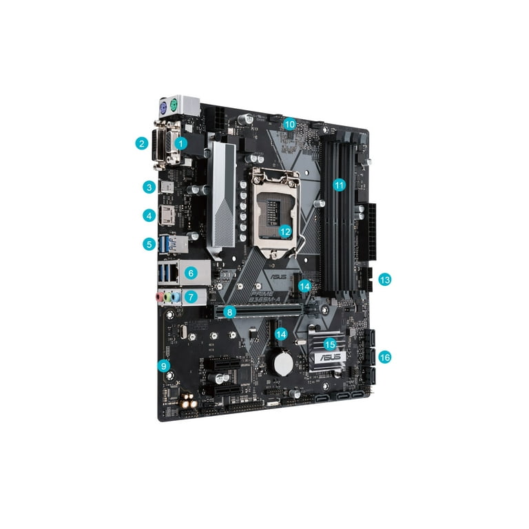 ASUS PRIME B365M-A - Motherboard - micro ATX - LGA1151