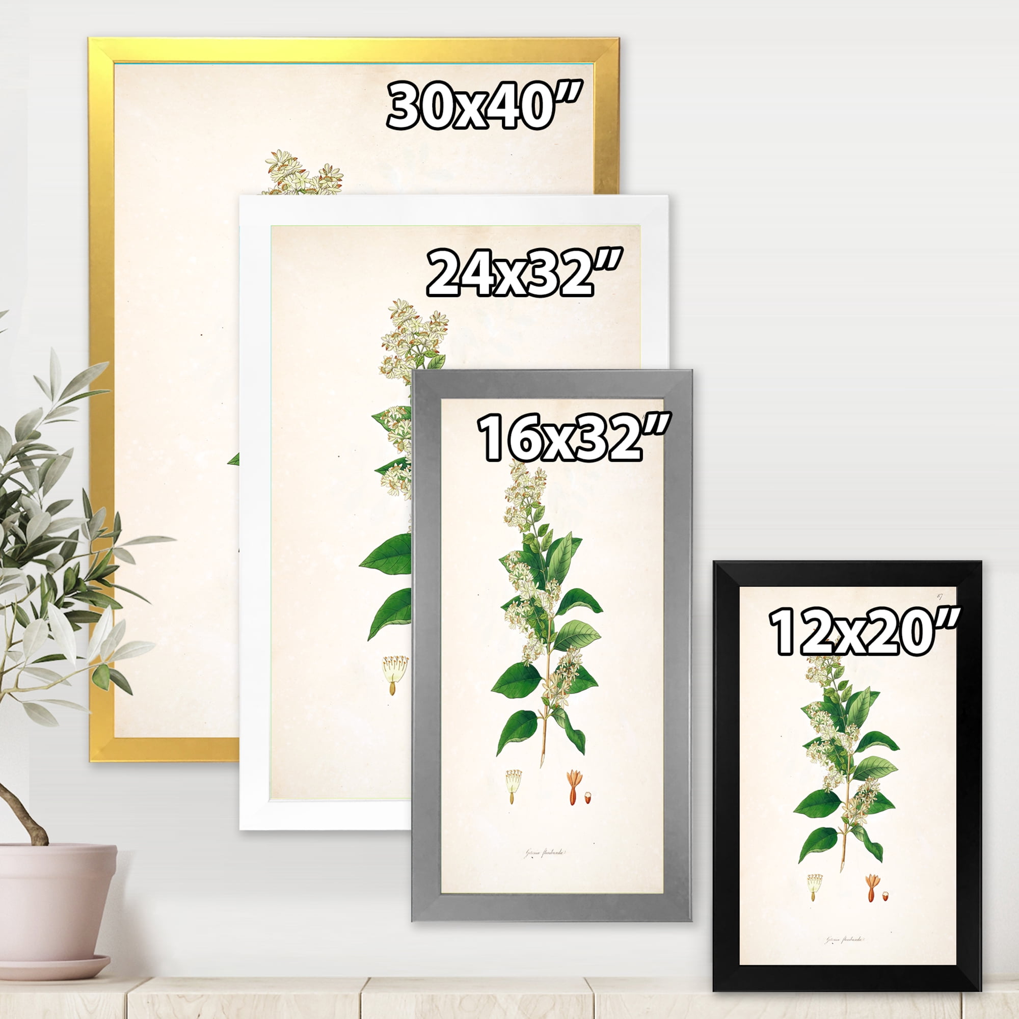 Designart 'Ancient Botanicals XVII' Farmhouse Framed Art Print