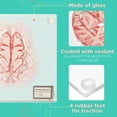 thumbnail image 3 of Anatomic Brain Specimen Coasters (Set of 10 pieces), 3 of 7