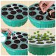 thumbnail image 4 of 2 unids 13 orificios Plantas Cajas de germinación de la planta Pantalones de plantas de interior Cajas de propagación HOMEMAXS 10348495-MX, 4 of 6
