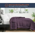 thumbnail image 2 of SGI Microfiber Comforter Set Twin Size Plum Solid 3 Piece, 2 of 5