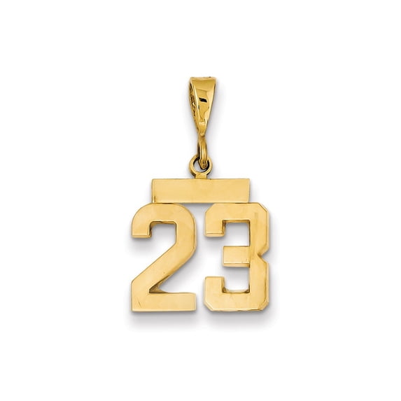 14k Small Polished Number 23 Charm in 14k Yellow Gold