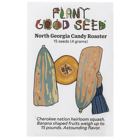 Plant Good Seed North Georgia Candy Roaster Squash Seeds for Planting