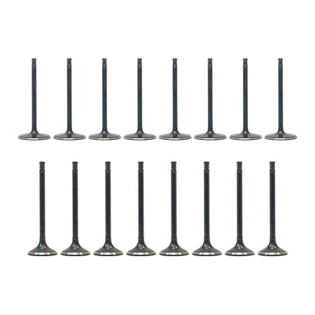 DNJ VK164279 Engine Exhaust / Intake Valve Kit Fits Cars & Trucks 2021-2022 Ram 1500 6.2L V8 6166cc 16V OHV Laramie Extended Cab Pickup 4 - Door