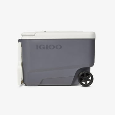 Igloo 35 qt Hard Sided Electric Wheeled Thermocooler, Gray