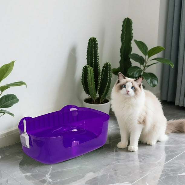 Arenero grande para gatos | Bandeja de arena con apertura superior antiderrames para gatos mayores y gatitos | Incluye pala fácil de limpiar | Verde, morado y naranja
