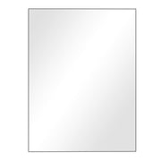 BarberPub Mirror 29.5(W) x 39(H) ft Wall-Mounted Bathroom Equipment3036-3