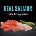 thumbnail image 4 of CRAVE Grain Free with Protein from Salmon & Ocean Fish Dry Adult Cat Food, 4 Pound Bag, 4 of 11