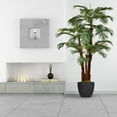 thumbnail image 3 of Vintage Home Artificial Faux Real Touch 72" Tall Palm With Eco-Paper Planter And Black Honeycomb Fiberstone Planter, 3 of 3