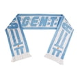thumbnail image 1 of Bufanda NIZAPT 2026 fan de fútbol de Argentina 142 x 18 cm, 1 of 6
