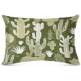thumbnail image 2 of Coolnut Cute Cactus Plush Pillowcase, Luxury Soft King Pillow Case for Hair and Skin, Standard Size Pillow Covers with Zipper Closure, 20x26in Home Decor Gifts, 2 of 7