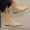 Beige, variant on Tawop Womens Boots Mid-Calf Low Heel Winter Pointy Toe Suede Fall Boots