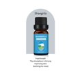 thumbnail image 1 of Perfume 10ML Vela Unilateral Naranja Dulce Aromaterapia Aceite De Árbol De Té Lavanda Material De Vela DIY Aceite Esencial De Aromaterapia Soluble En Aceite, 1 of 5