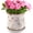 Tiny Red, variant on Ceramic-Planters-for-Indoor-Plants with Saucer, 6 inch Vintage Ice Crackle Glaze Plant Pots with Drainage Holes, Decorative Flower Pots for Outdoor Garden Home Decor, Tuscan Pot for Plant