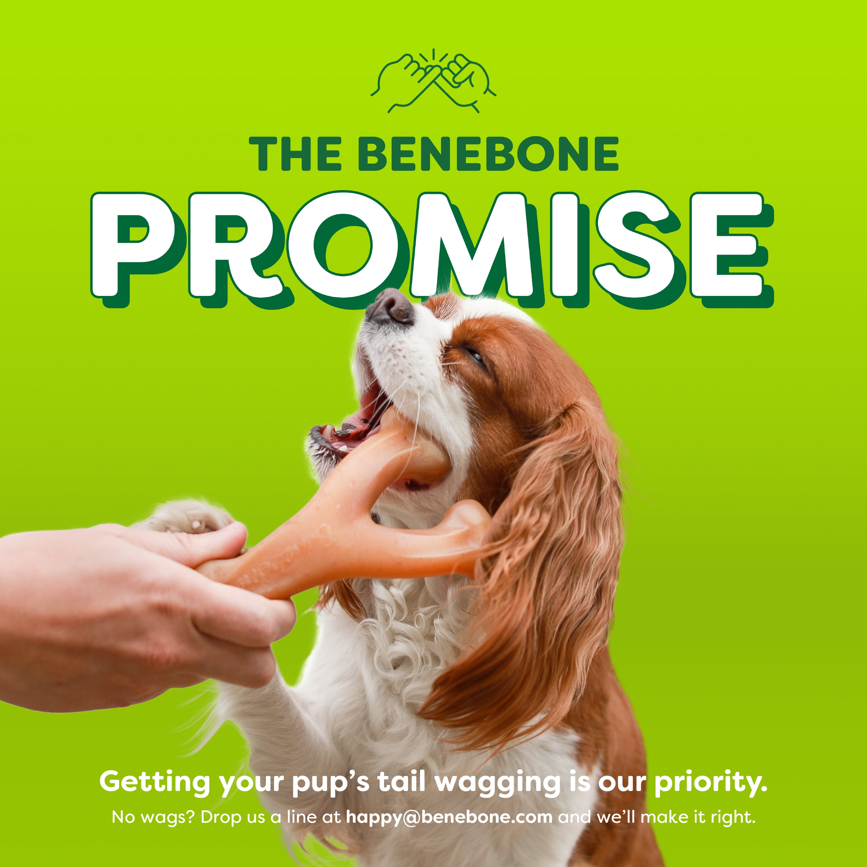 Benebone Essentials 2-Pack Wishbone Bacon & Chicken M/L