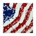 thumbnail image 1 of Trademark Fine Art 'American Flag Splash' Canvas Art by Roderick Stevens, 1 of 3