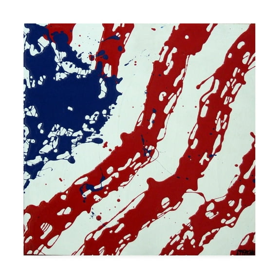 Trademark Fine Art 'American Flag Splash' Canvas Art by Roderick Stevens